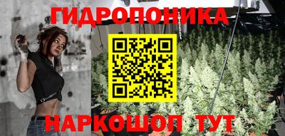 мяу мяу мука Лесосибирск