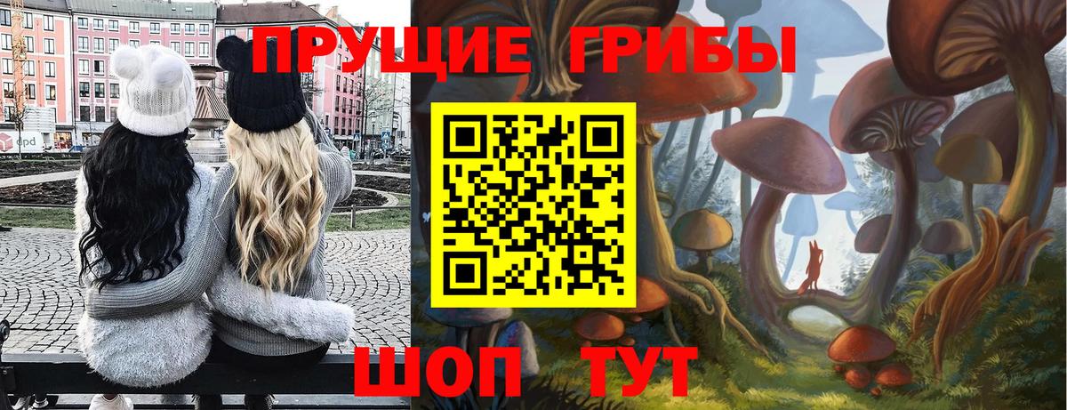 Псилоцибиновые грибы MAGIC MUSHROOMS Урюпинск