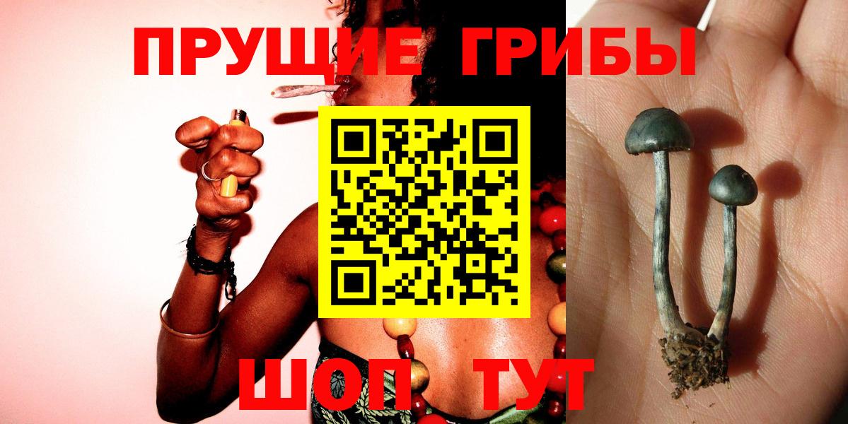 Урюпинск  Псилоцибиновые грибы прущие грибы  Вход с VPN 