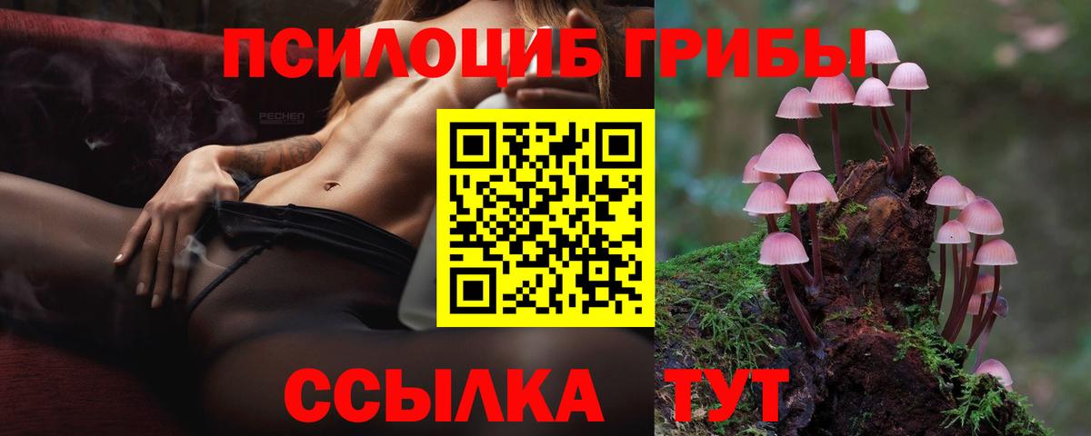 Галлюциногенные грибы Psilocybe  Урюпинск 