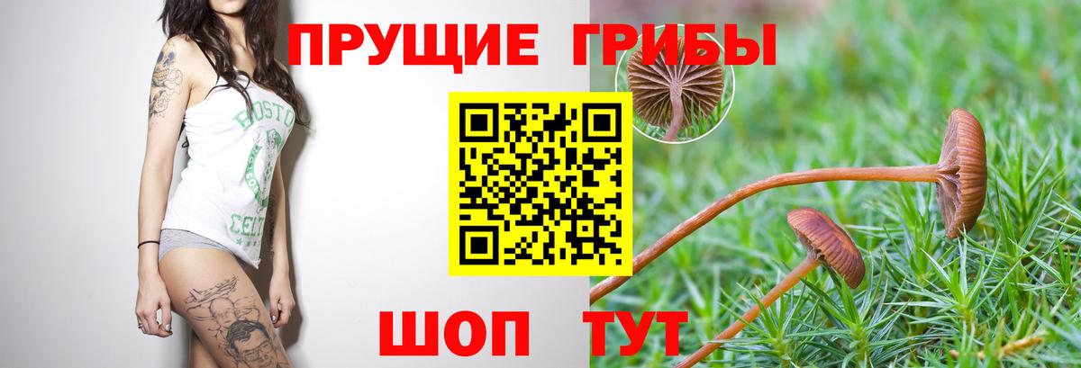 Галлюциногенные грибы ЛСД Урюпинск